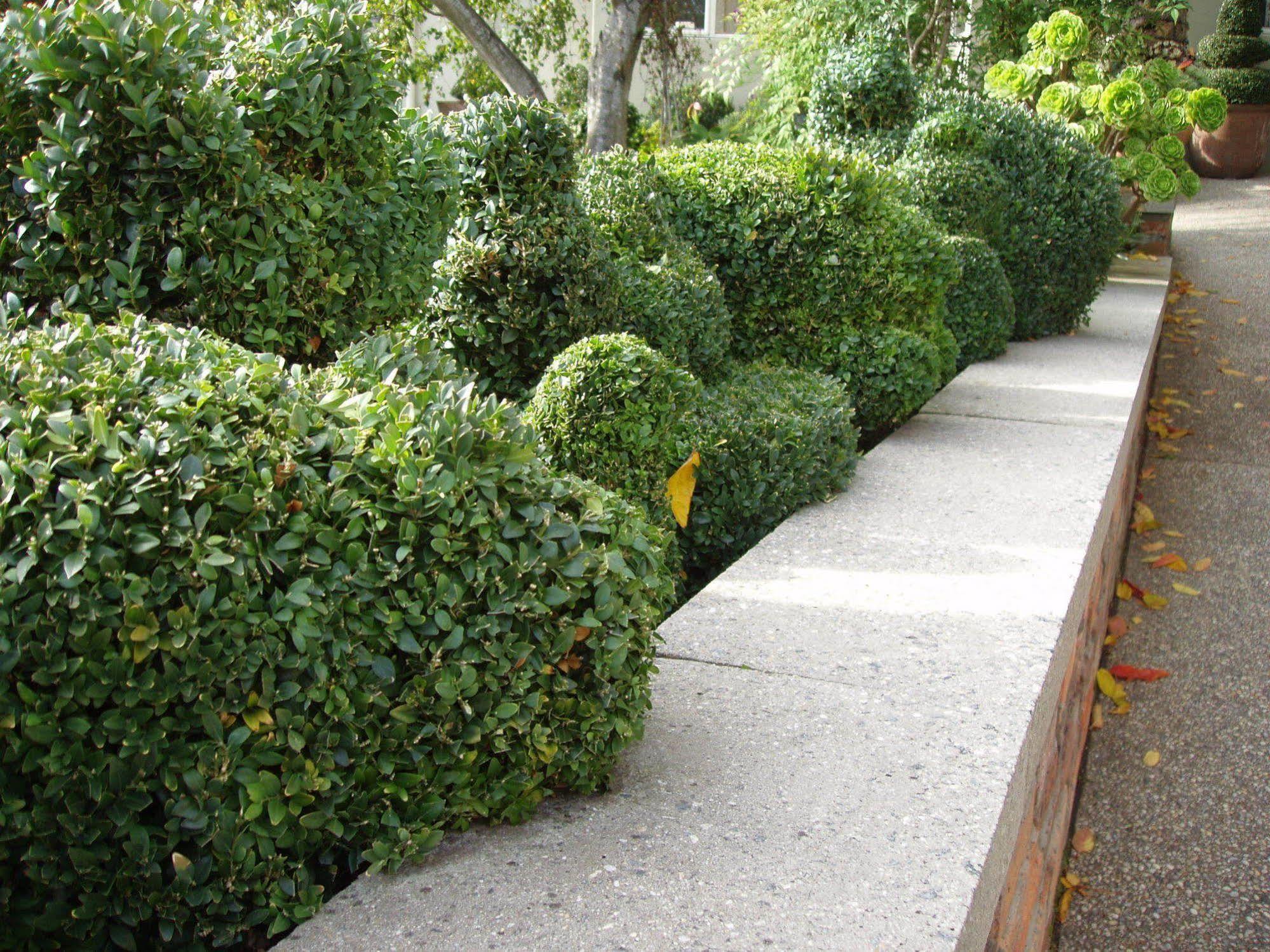 Apartment Topiary Haven Launceston